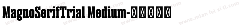 MagnoSerifTrial Medium字体转换